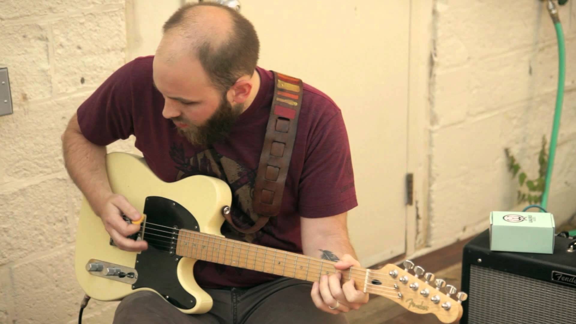 <br><br>Walrus Audio Mayflower Artist Demo